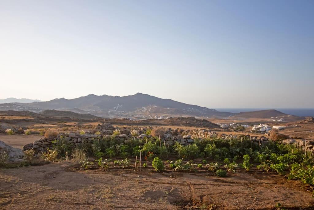 Ktima Lipsi, Panorama Pool Views