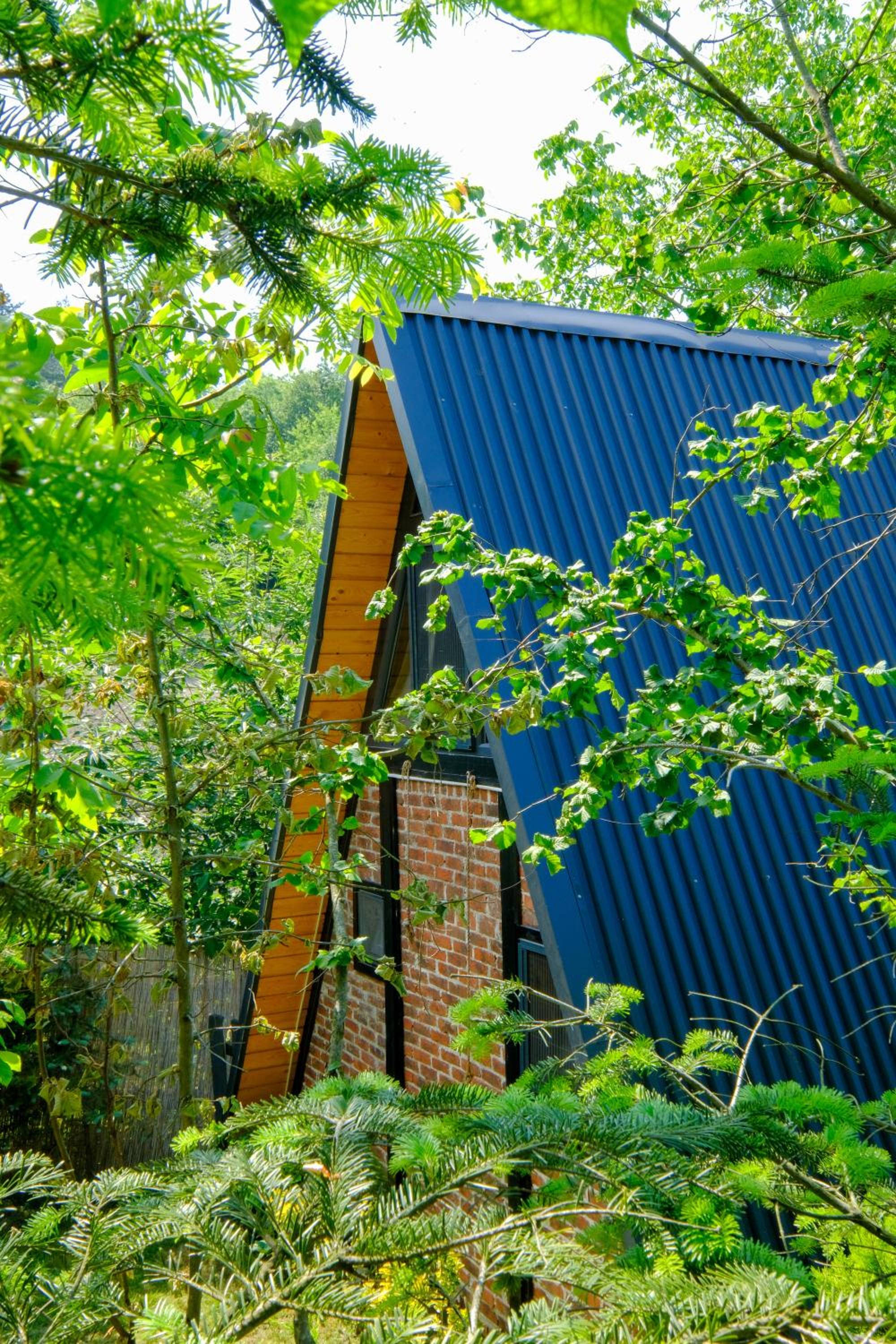 sapancakelebekvadibungalov