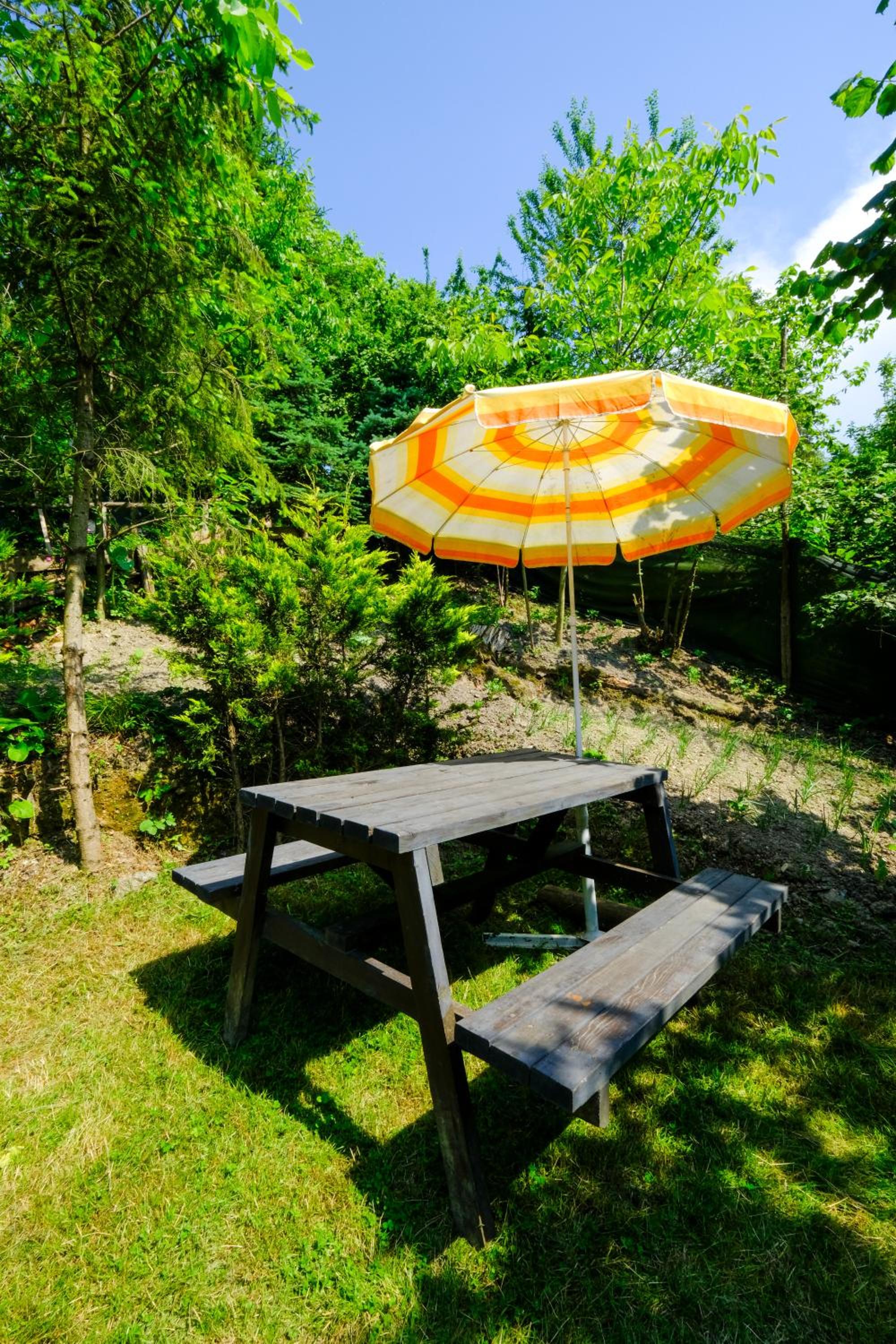 sapancakelebekvadibungalov