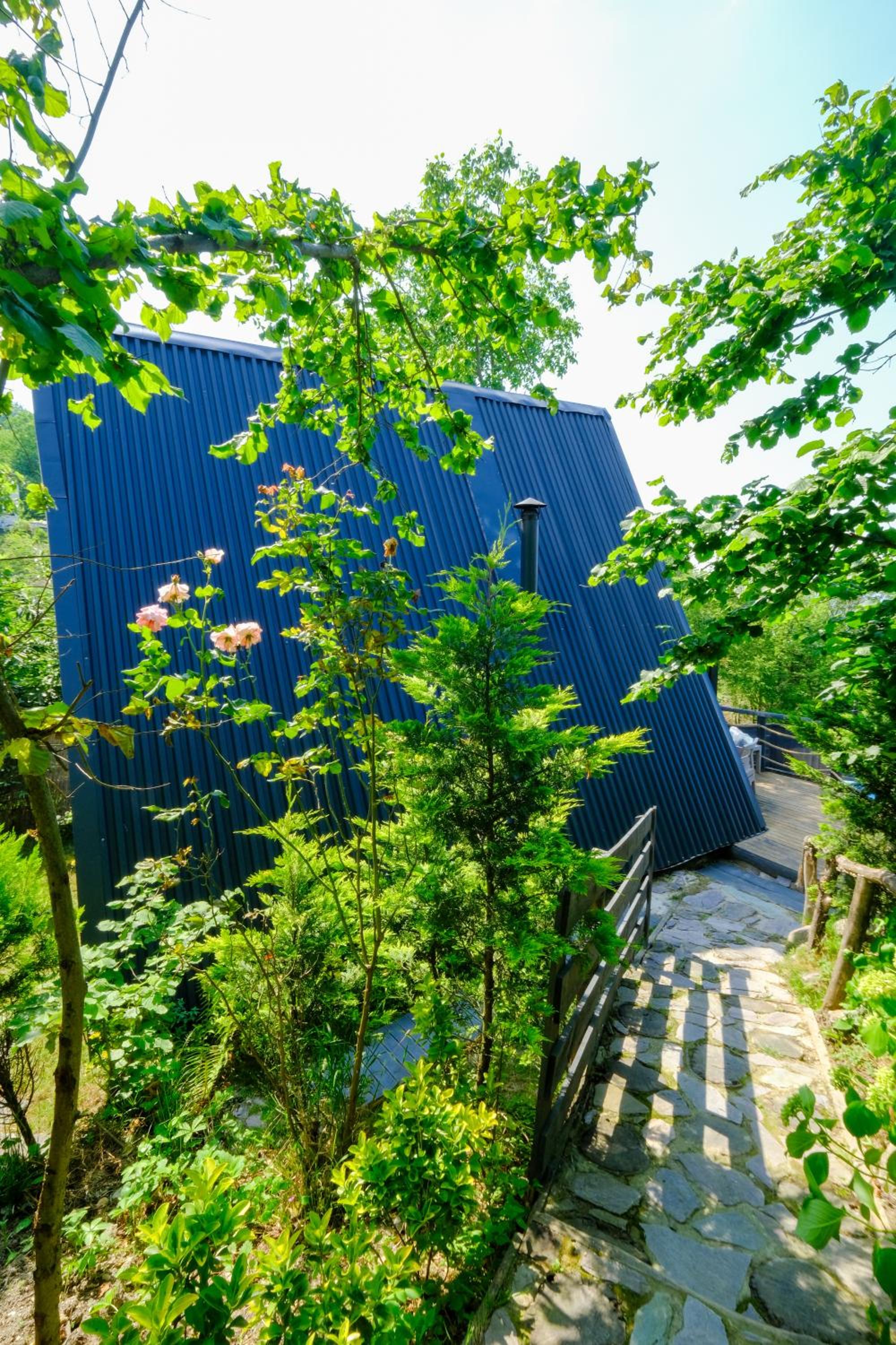 sapancakelebekvadibungalov