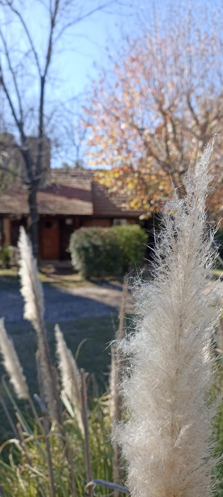 Samai Suma Cabañas & Spa