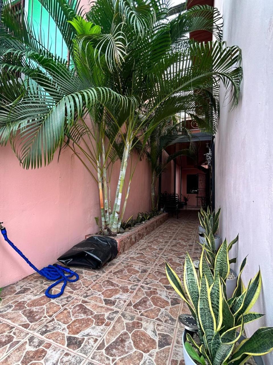 Apartamento Caribe Rosa