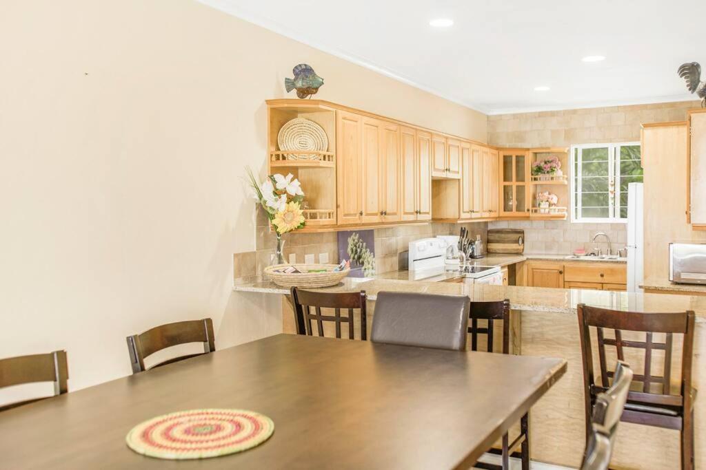 NEW Ocean view Apt Beach Access