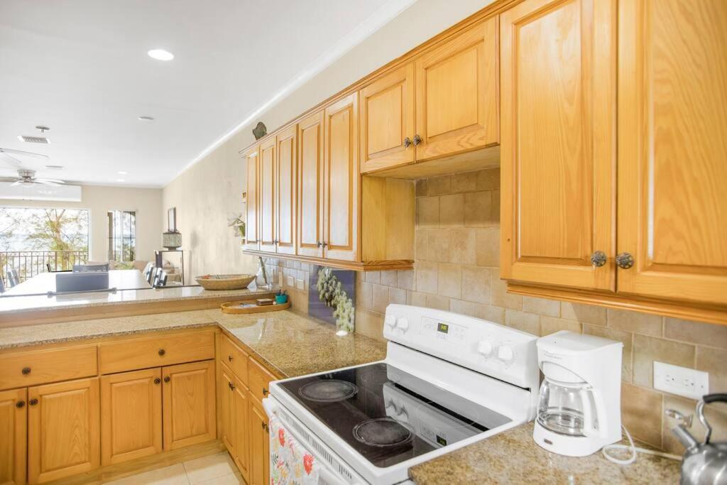 NEW Ocean view Apt Beach Access