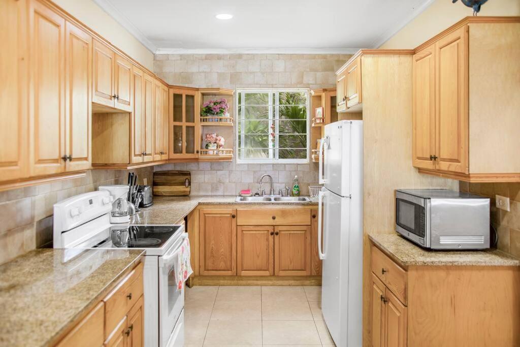 NEW Ocean view Apt Beach Access