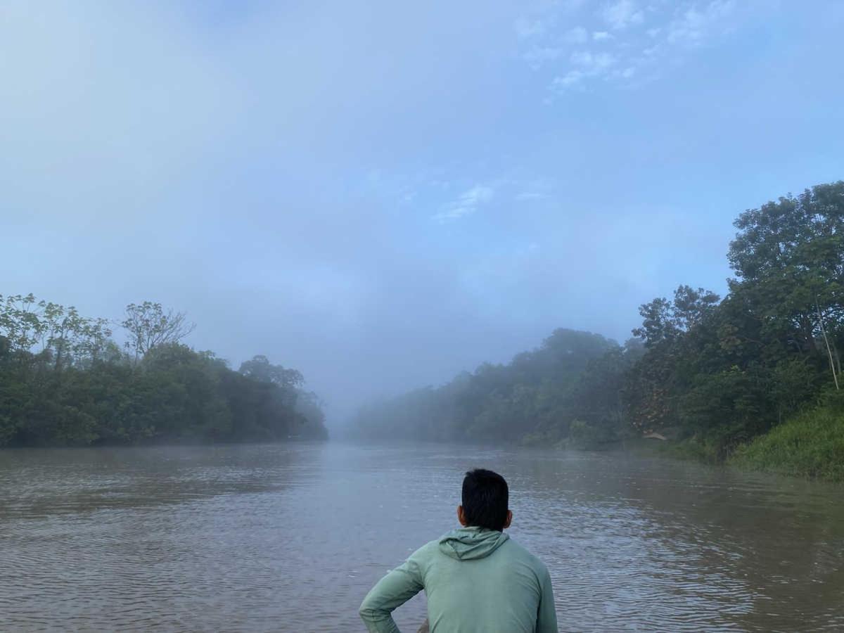 Marupa Expeditions Amazon Tours