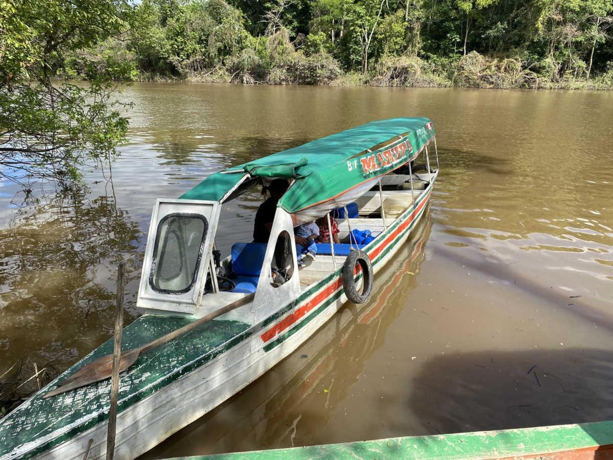 Marupa Expeditions Amazon Tours