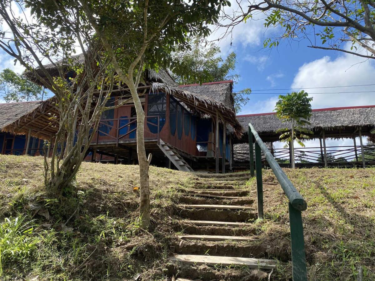 Marupa Expeditions Amazon Tours