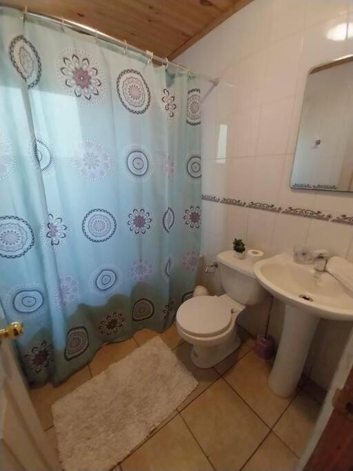 Cabañas villa ojen la pinta número 4