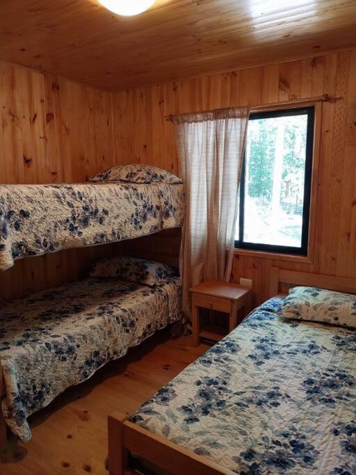 Cabañas villa ojen la pinta número 4