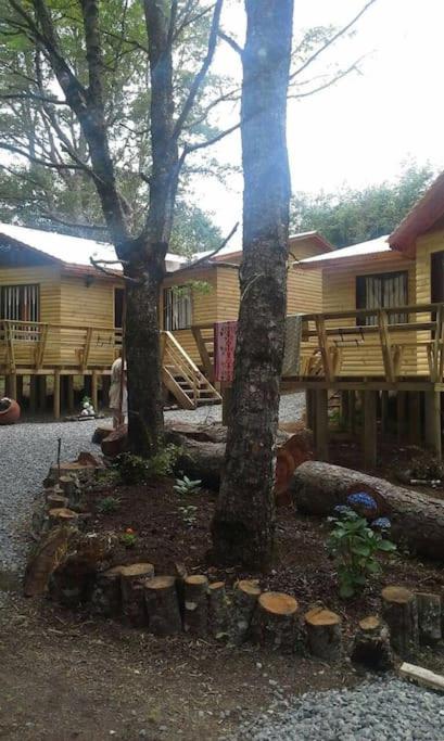 Cabañas villa ojen la pinta número 4