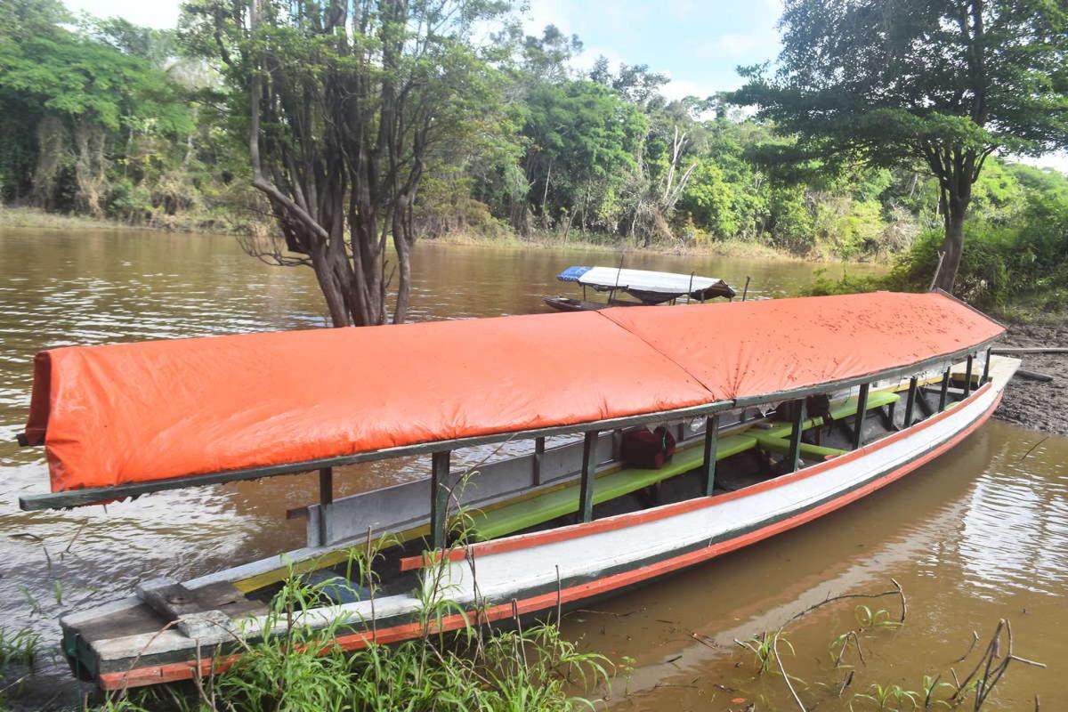 Marupa Expeditions Amazon Tours