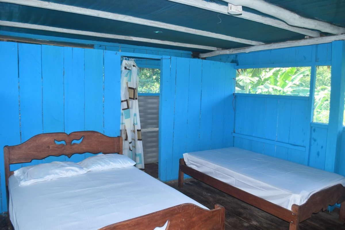 Marupa Expeditions Amazon Tours