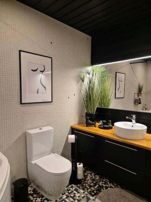 Historical, spacious and elegant with terrace