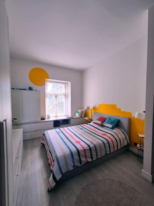 Historical, spacious and elegant with terrace