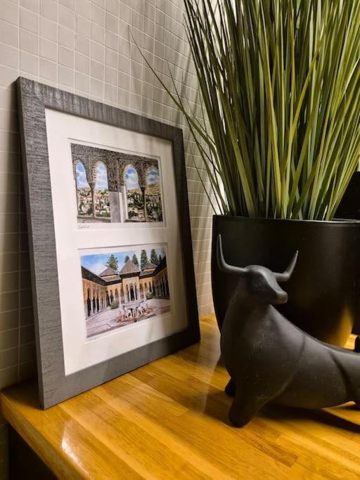 Historical, spacious and elegant with terrace