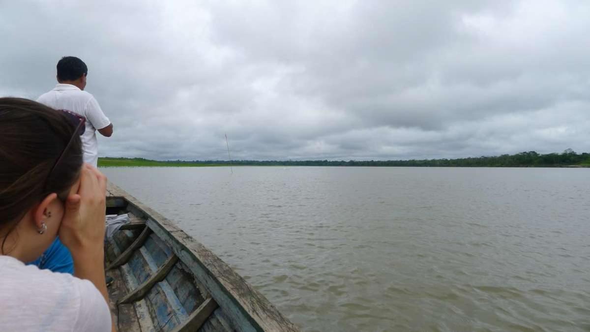 Marupa Expeditions Amazon Tours