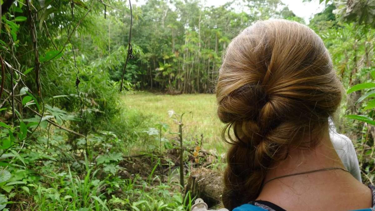 Marupa Expeditions Amazon Tours