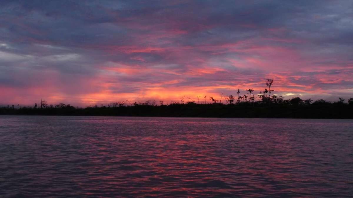 Marupa Expeditions Amazon Tours
