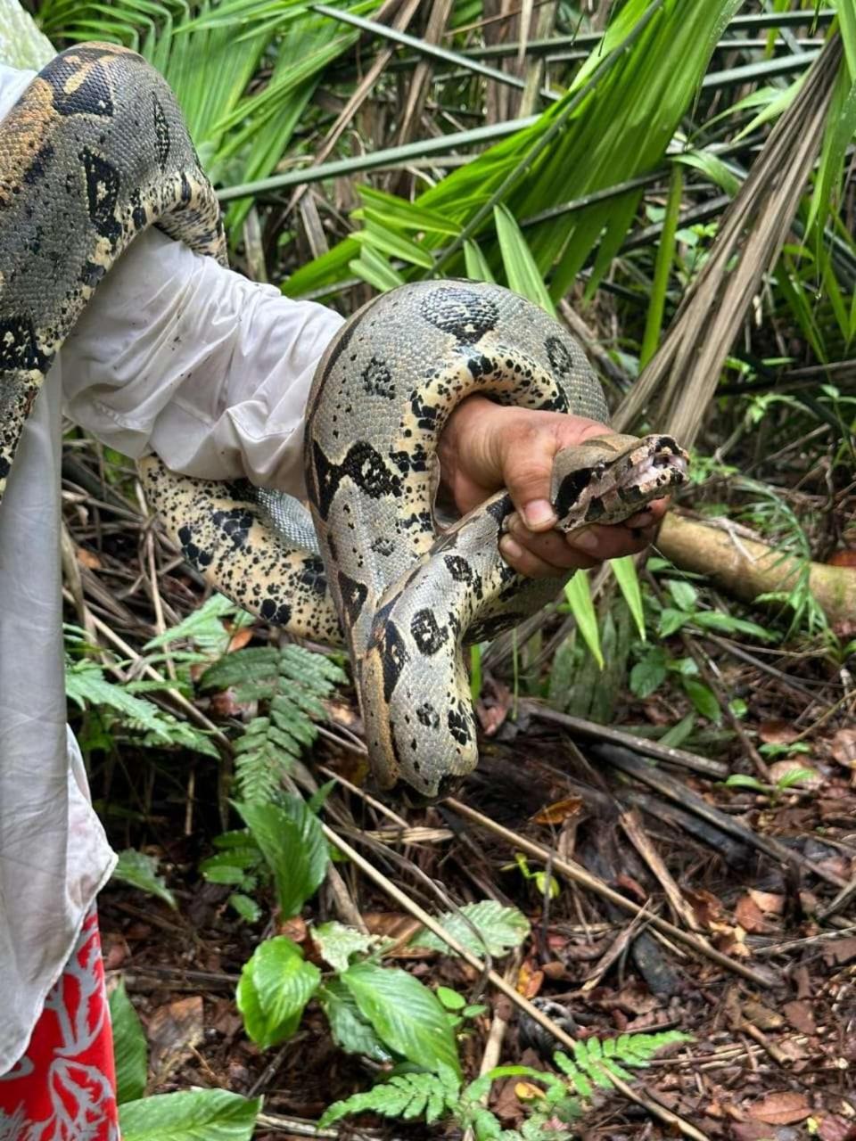 Marupa Expeditions Amazon Tours