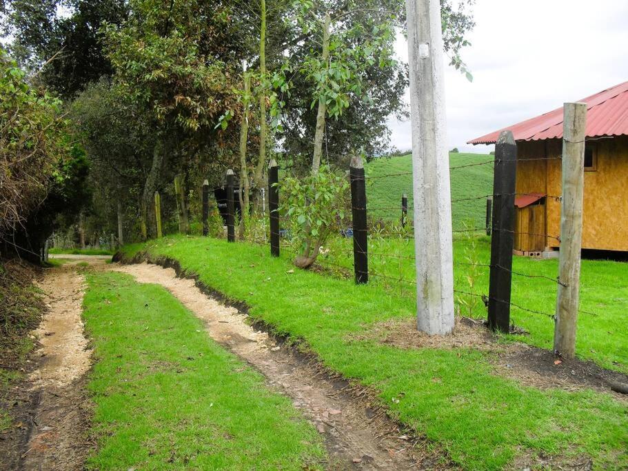 Fantastica Yurta Tabio Puerto Nuquí