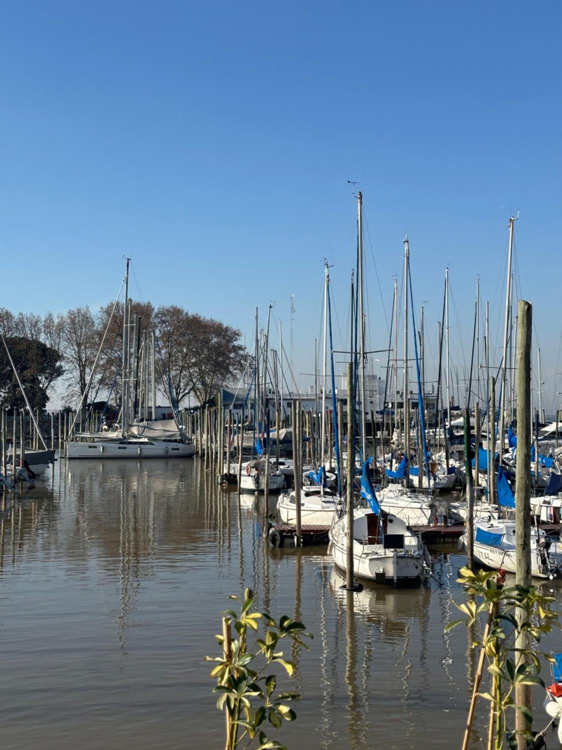 Departamento al río