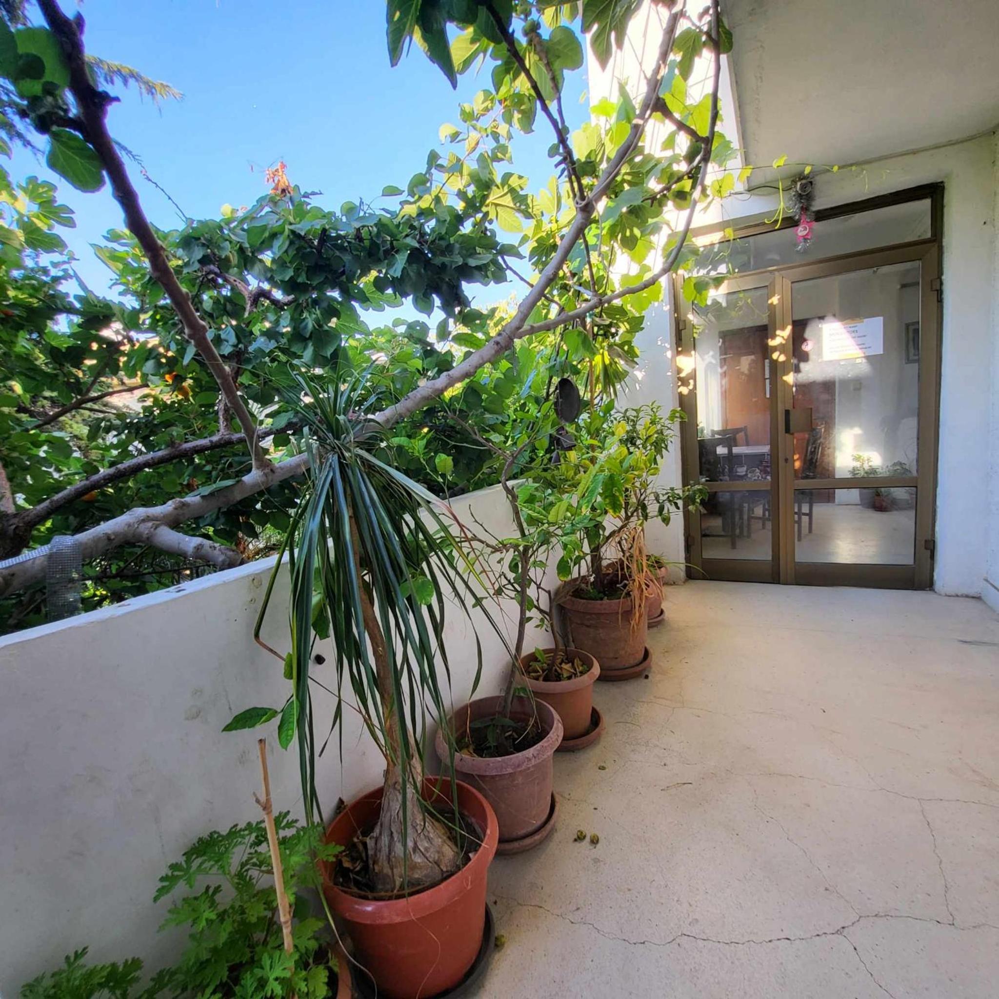 Hostel Varna Botanika