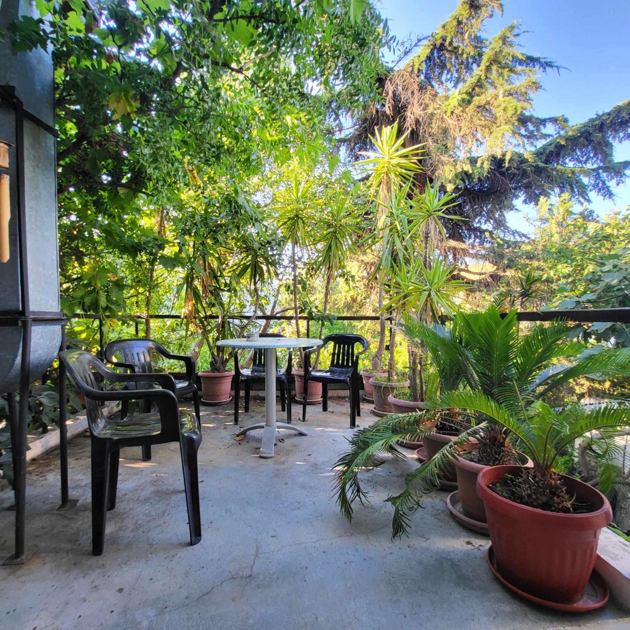 Hostel Varna Botanika