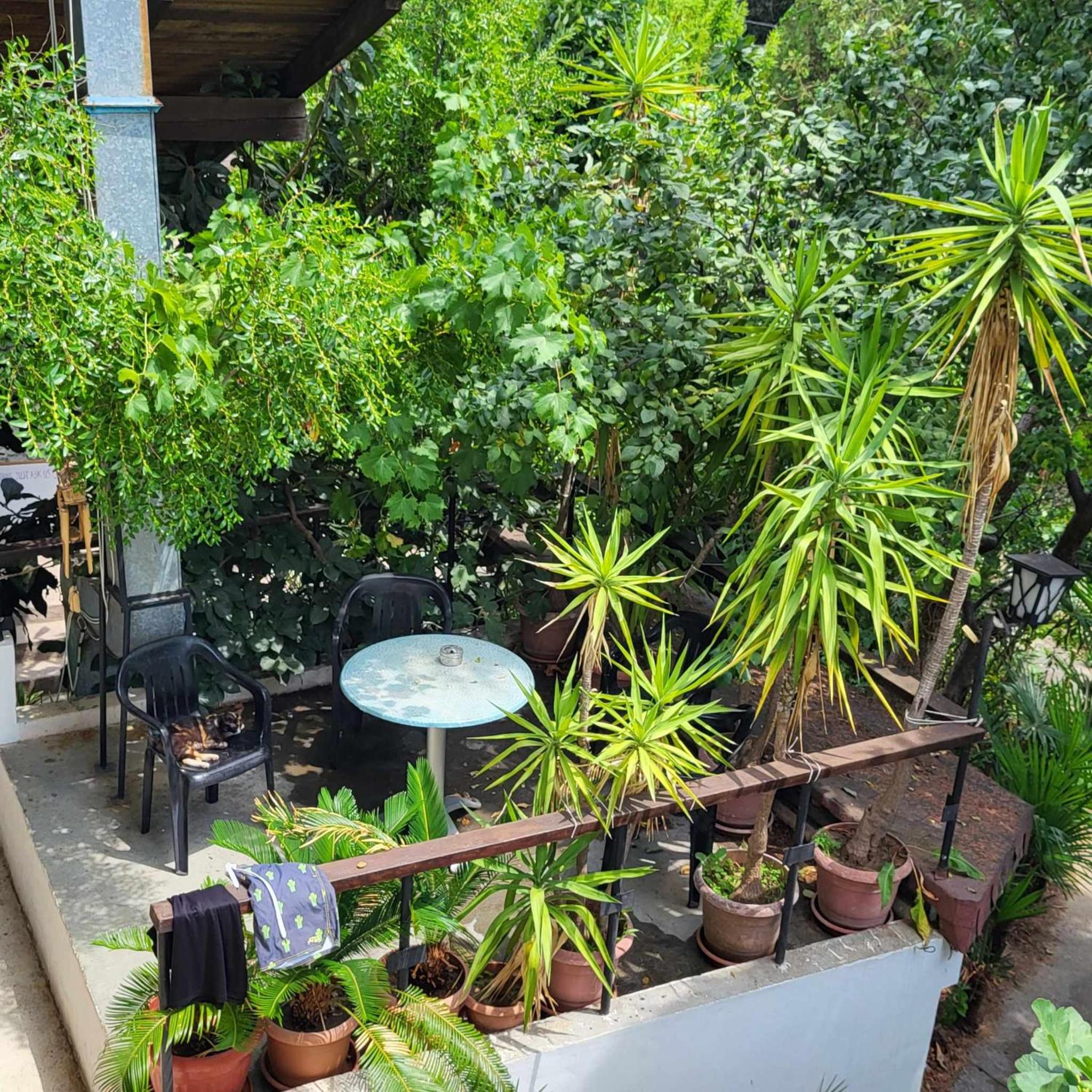 Hostel Varna Botanika