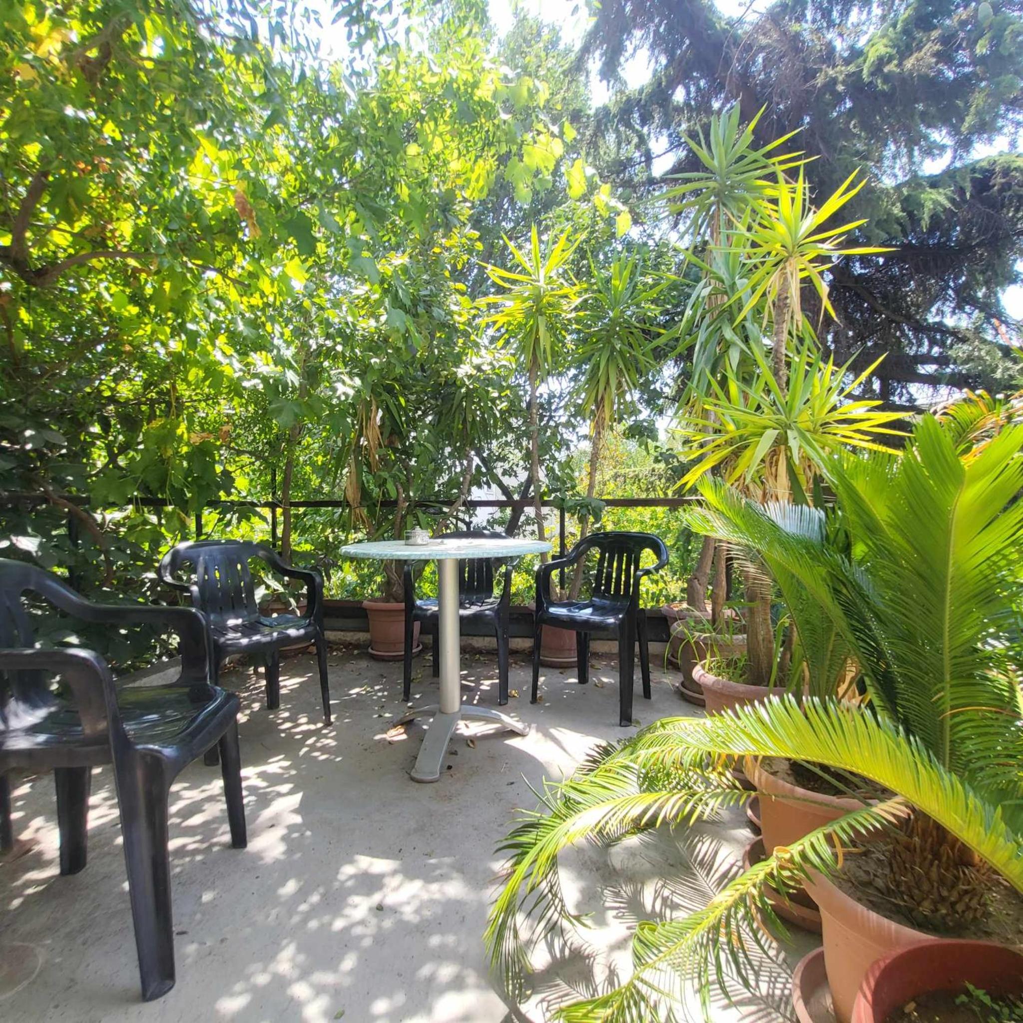 Hostel Varna Botanika
