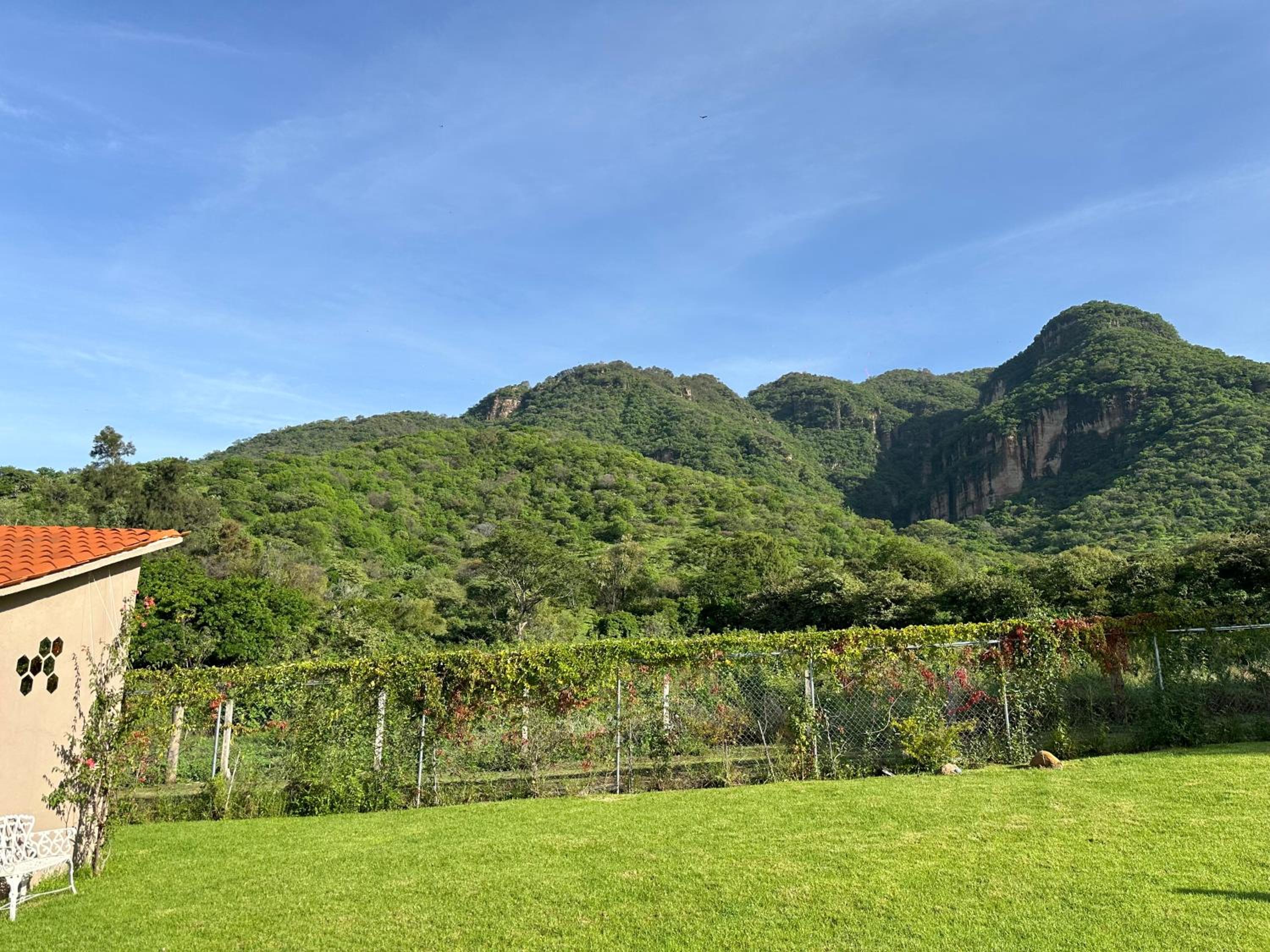 Chalets Encino Saúco