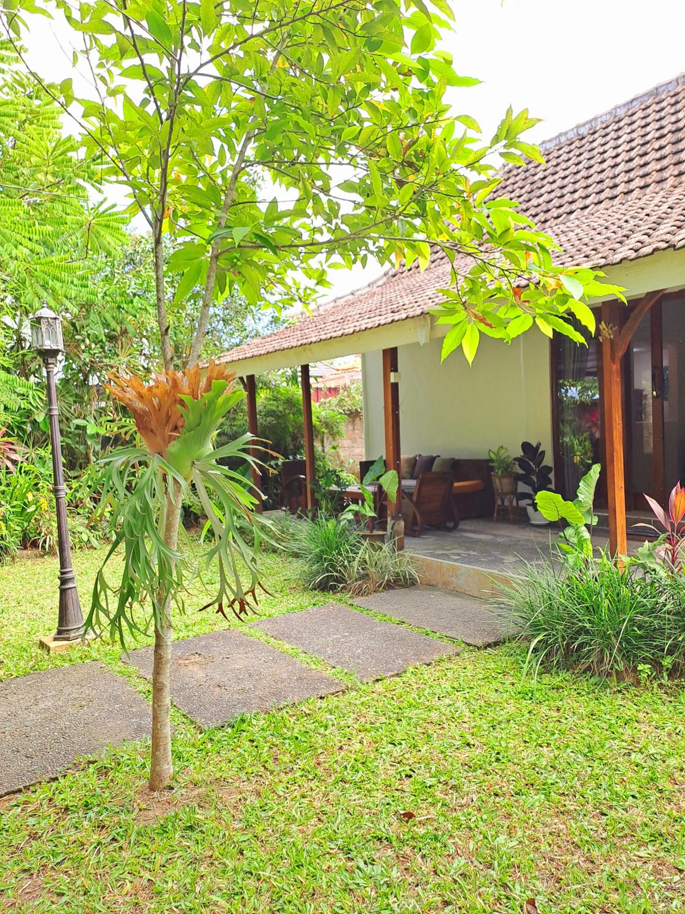 Tropica House 2 minutes from Ubud center view 3