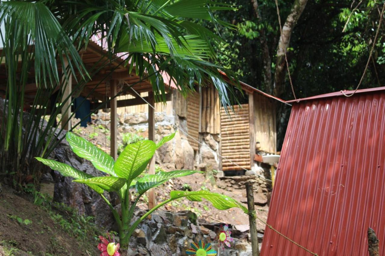 Cascada escondida glamping