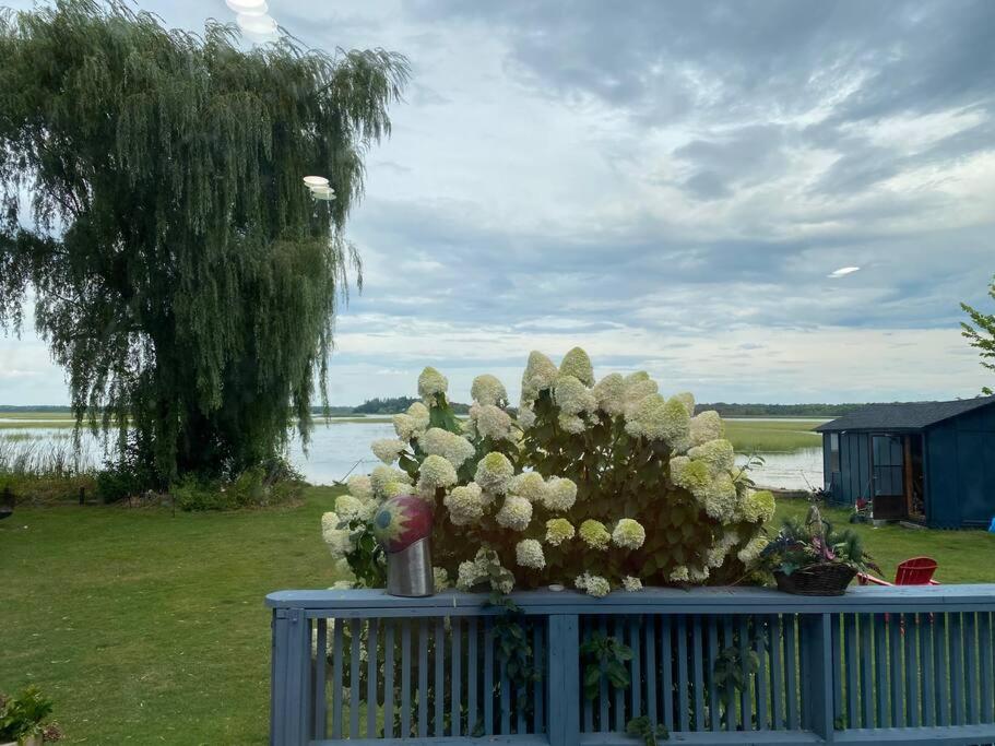 Sunrise net cottage