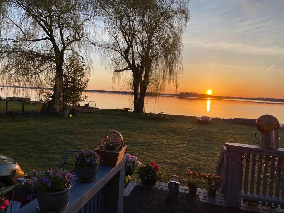 Sunrise net cottage