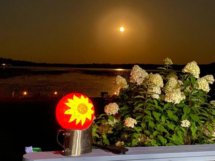 Sunrise net cottage