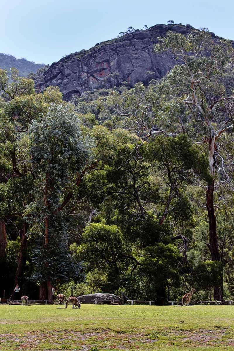 Mountainside Villas Halls Gap