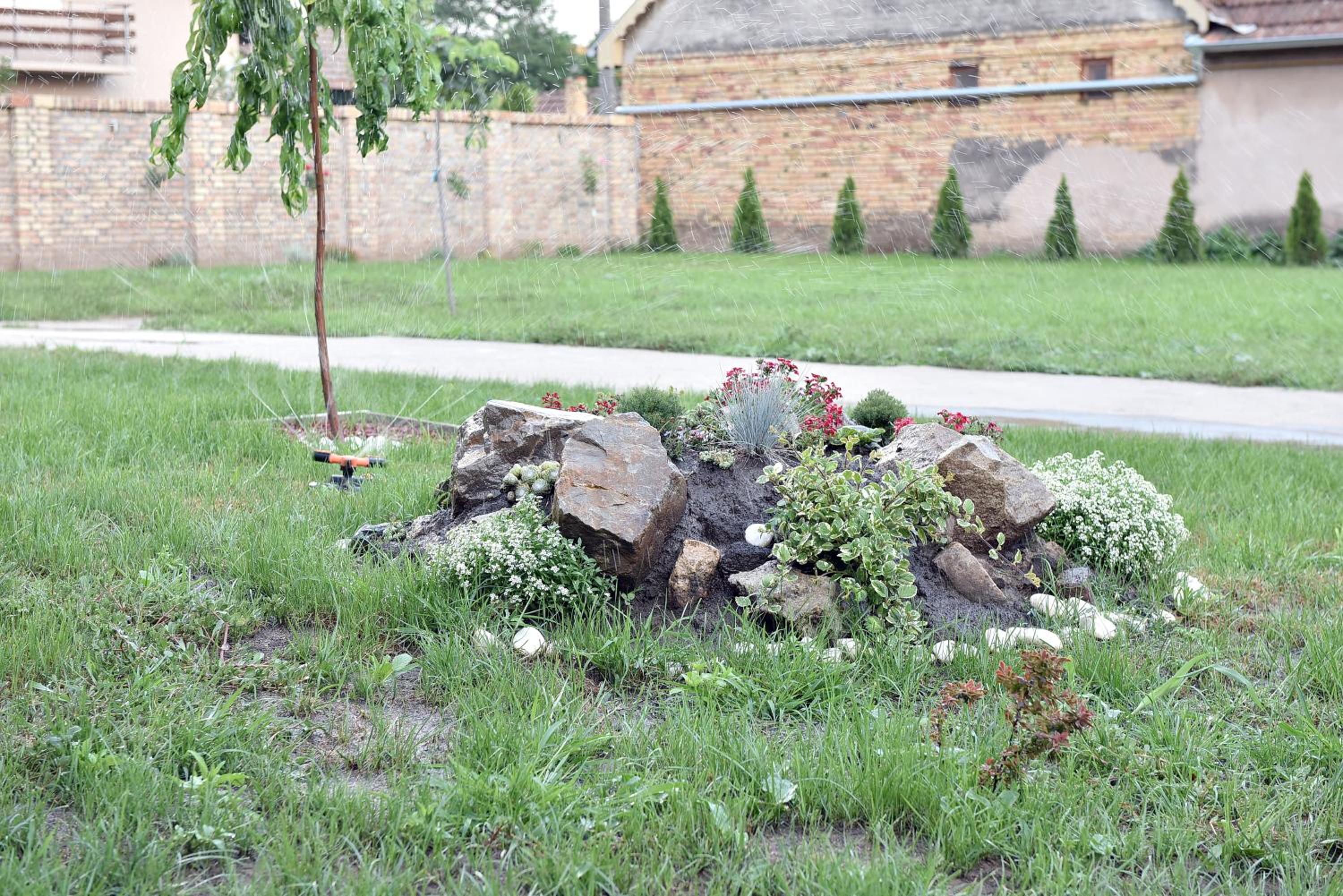 Photo 10