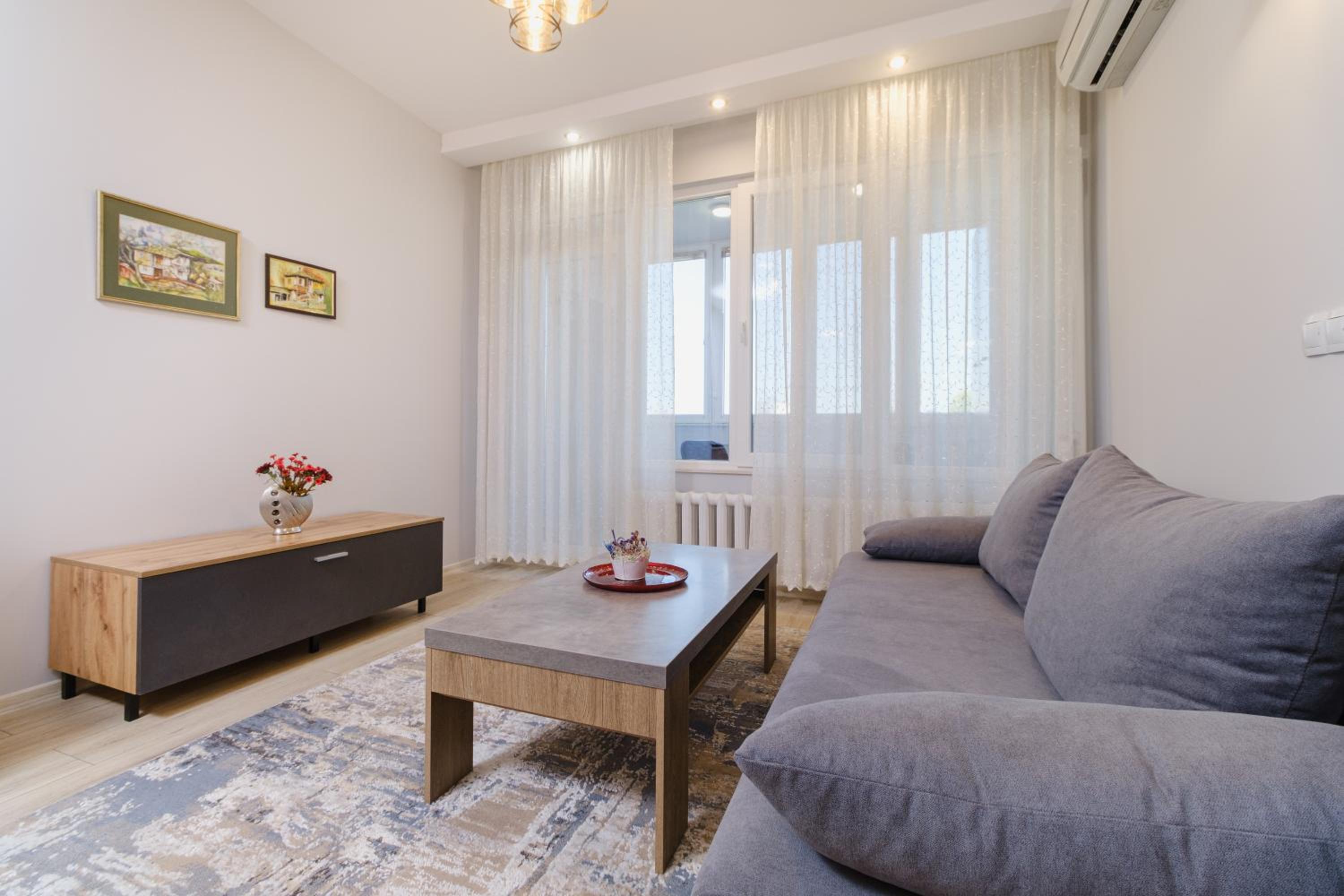 Spacious 1-bedroom Apartment