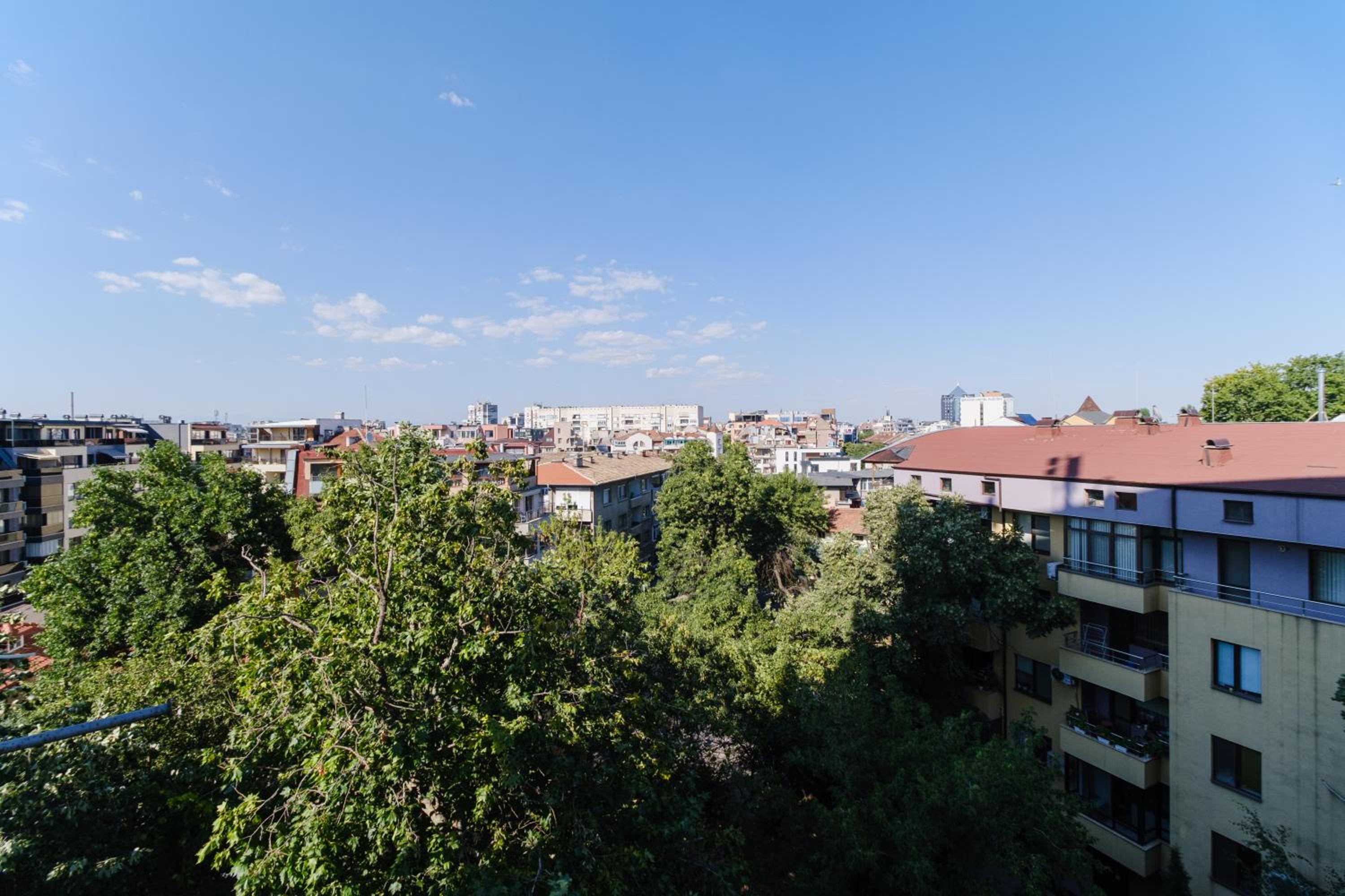 Spacious 1-bedroom Apartment