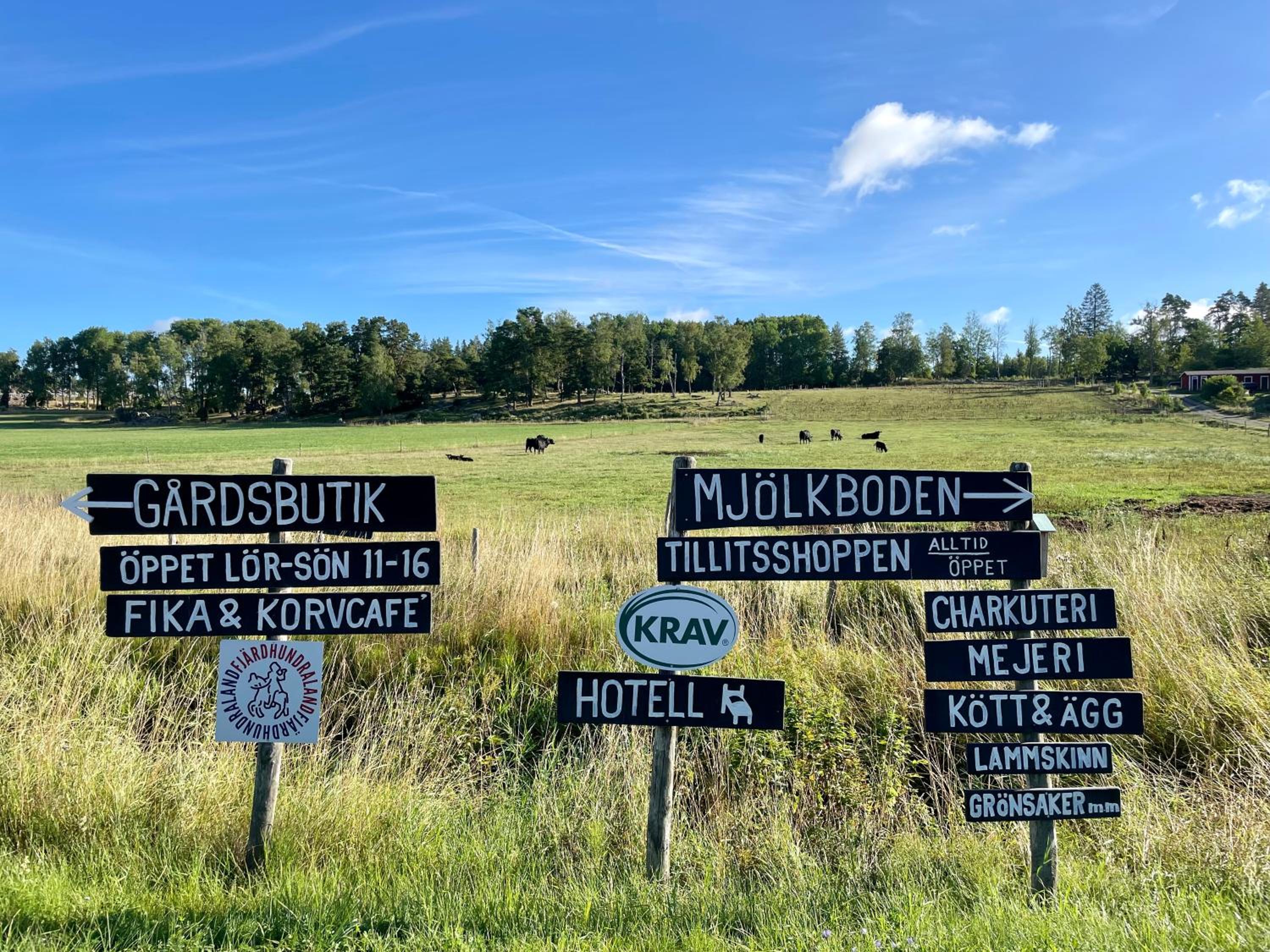 Resta gård bondgårdhotellrum