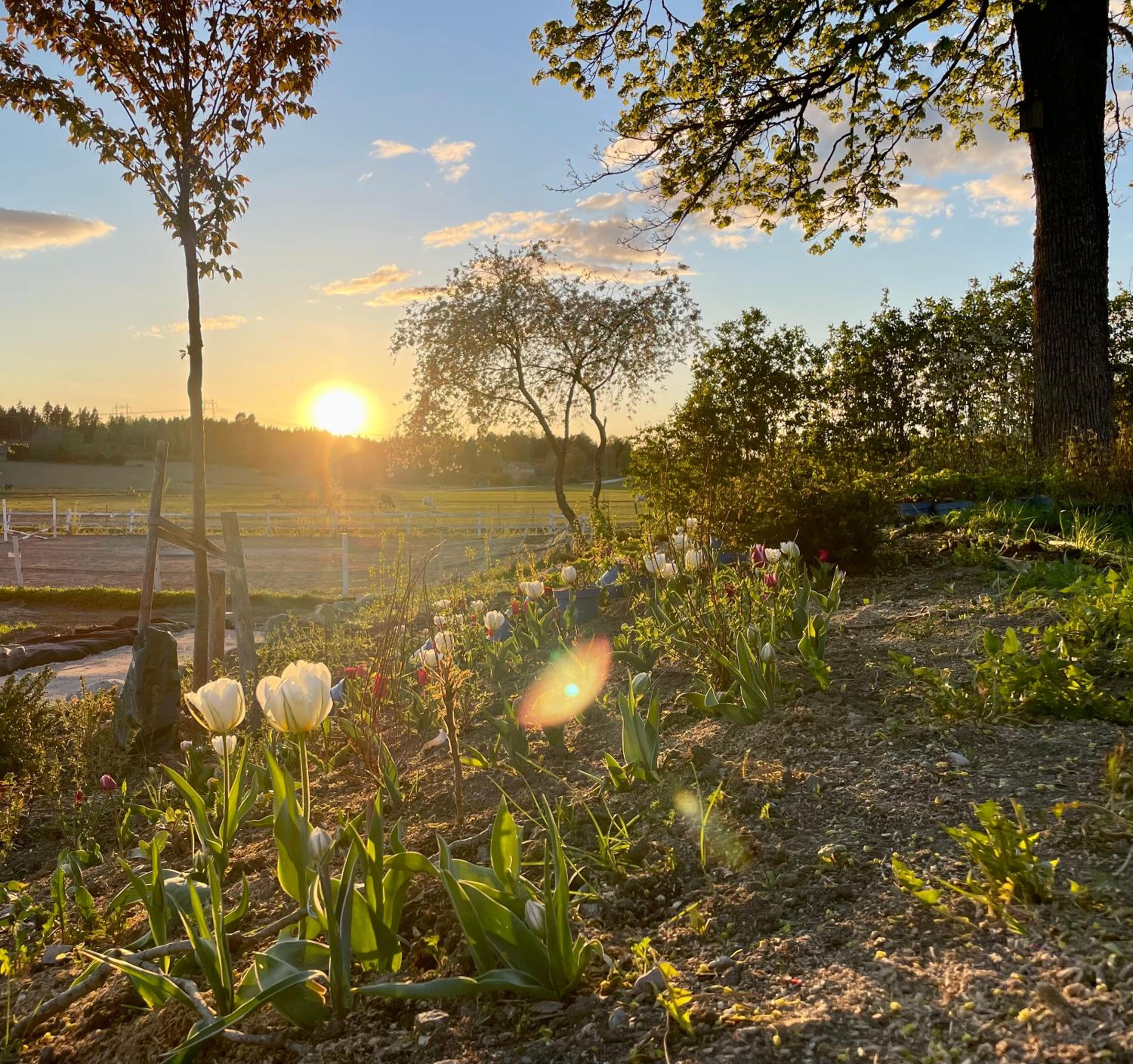 Resta gård bondgårdhotellrum