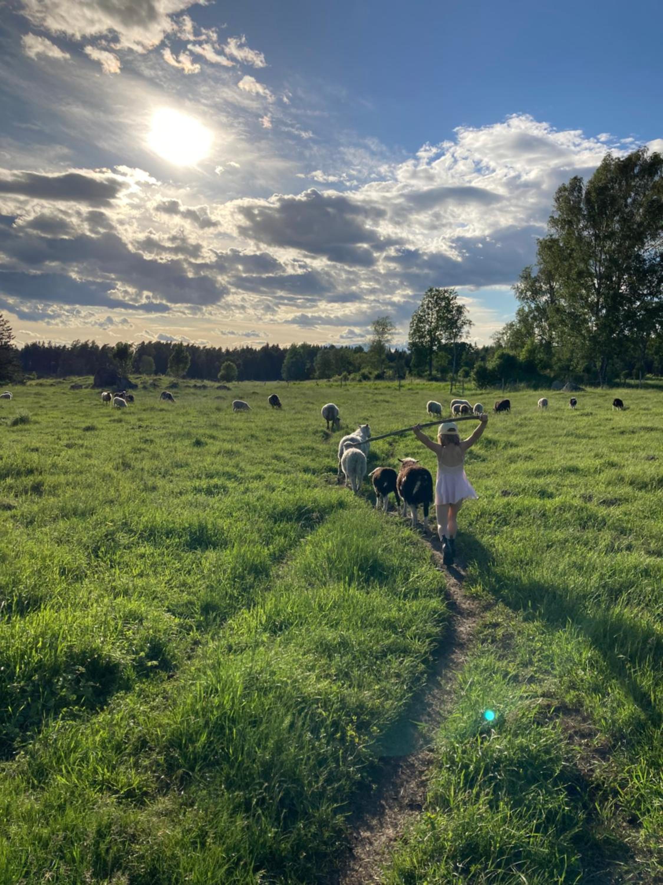 Resta gård bondgårdhotellrum