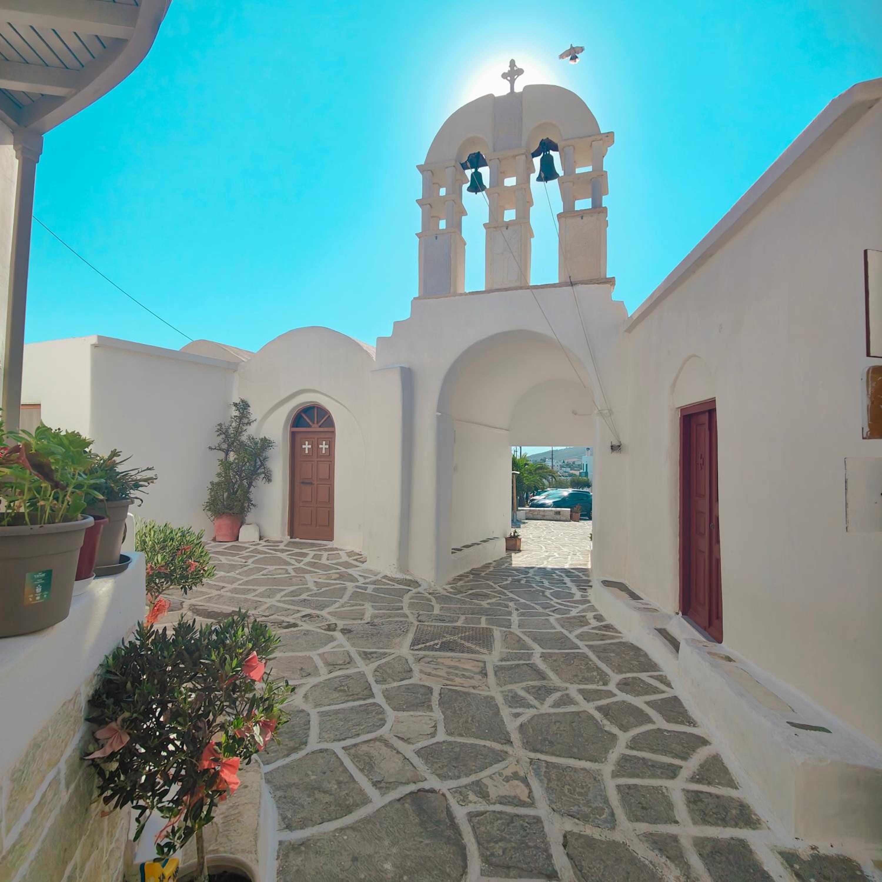 Frida' s Mansion view 3