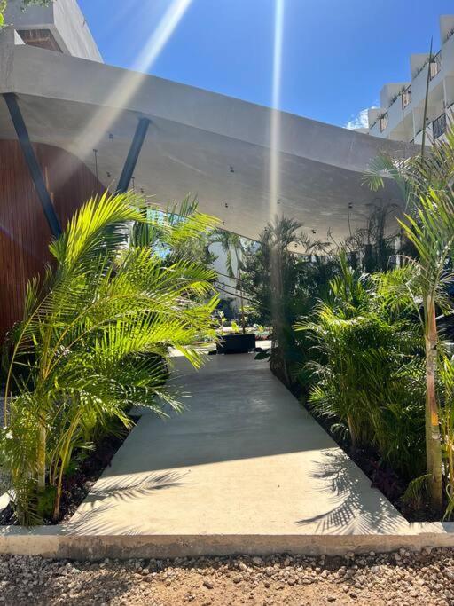 Comfy Studio 5 mins from Beach view 5