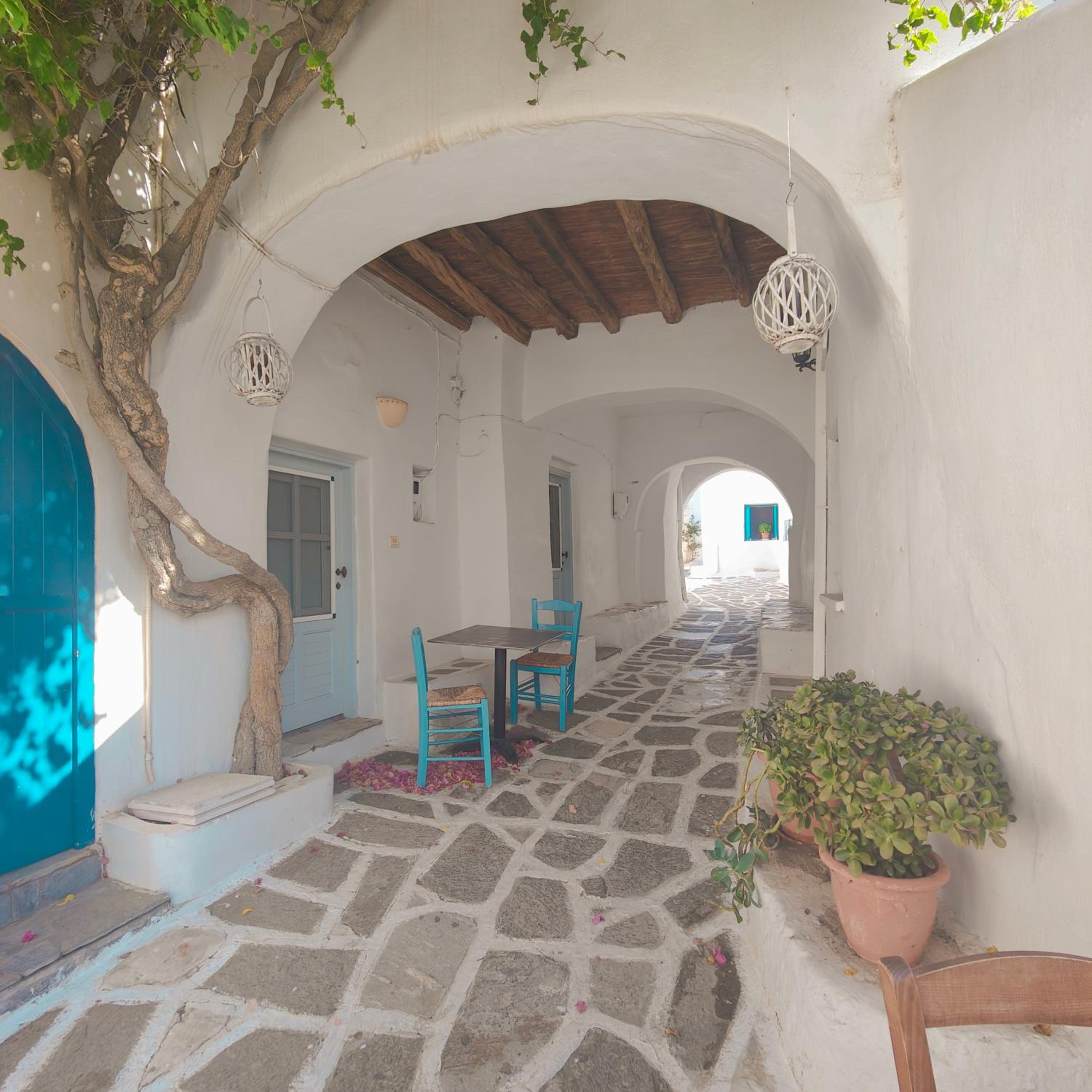 Frida' s Mansion view 4