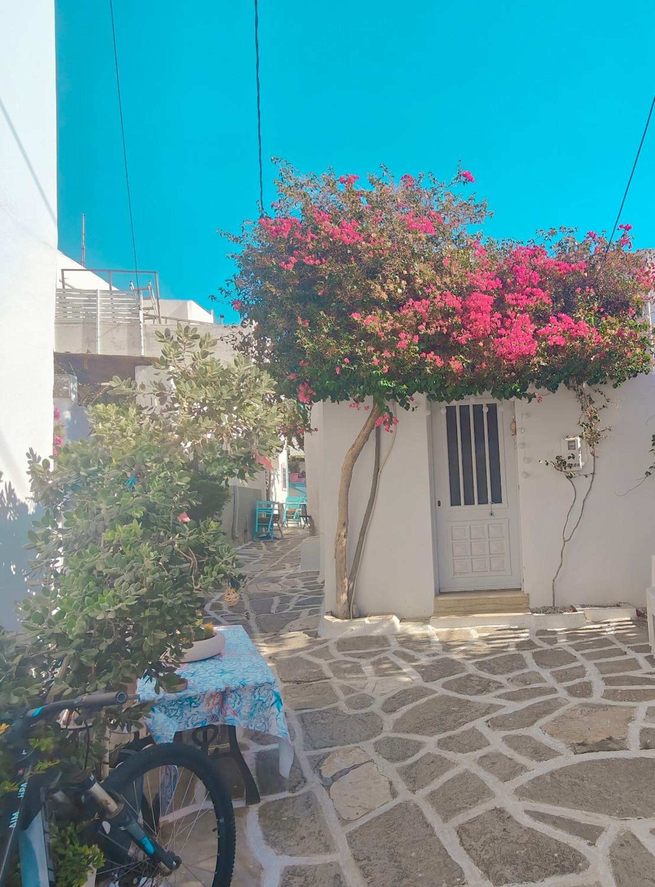Frida' s Mansion view 5