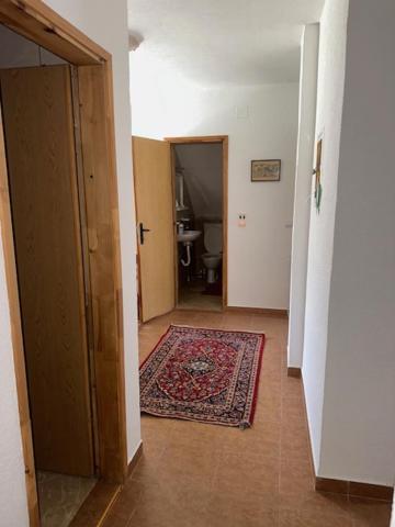 Family house on the mountain - Krstac, Njegusi
