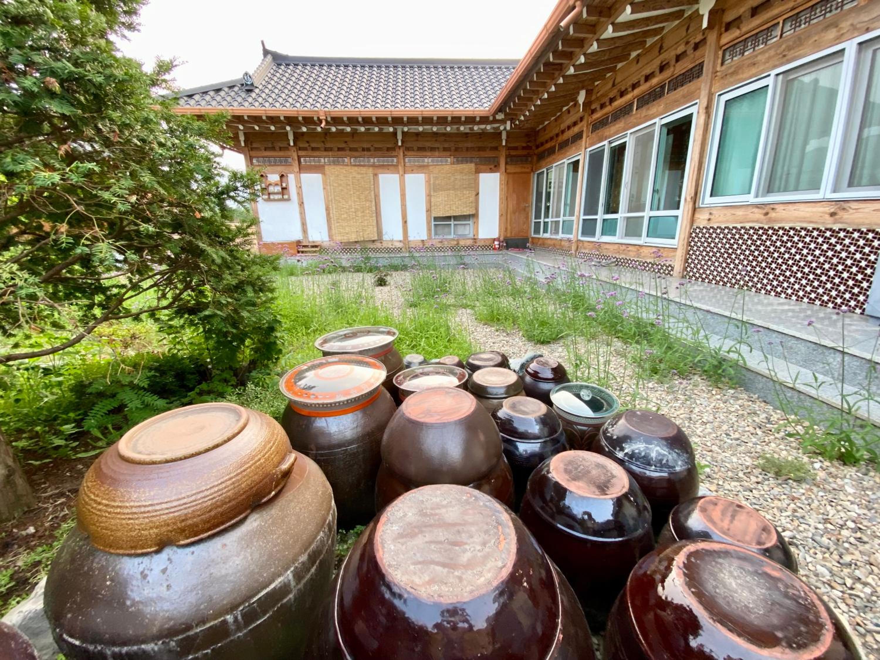 Verbena Hanok