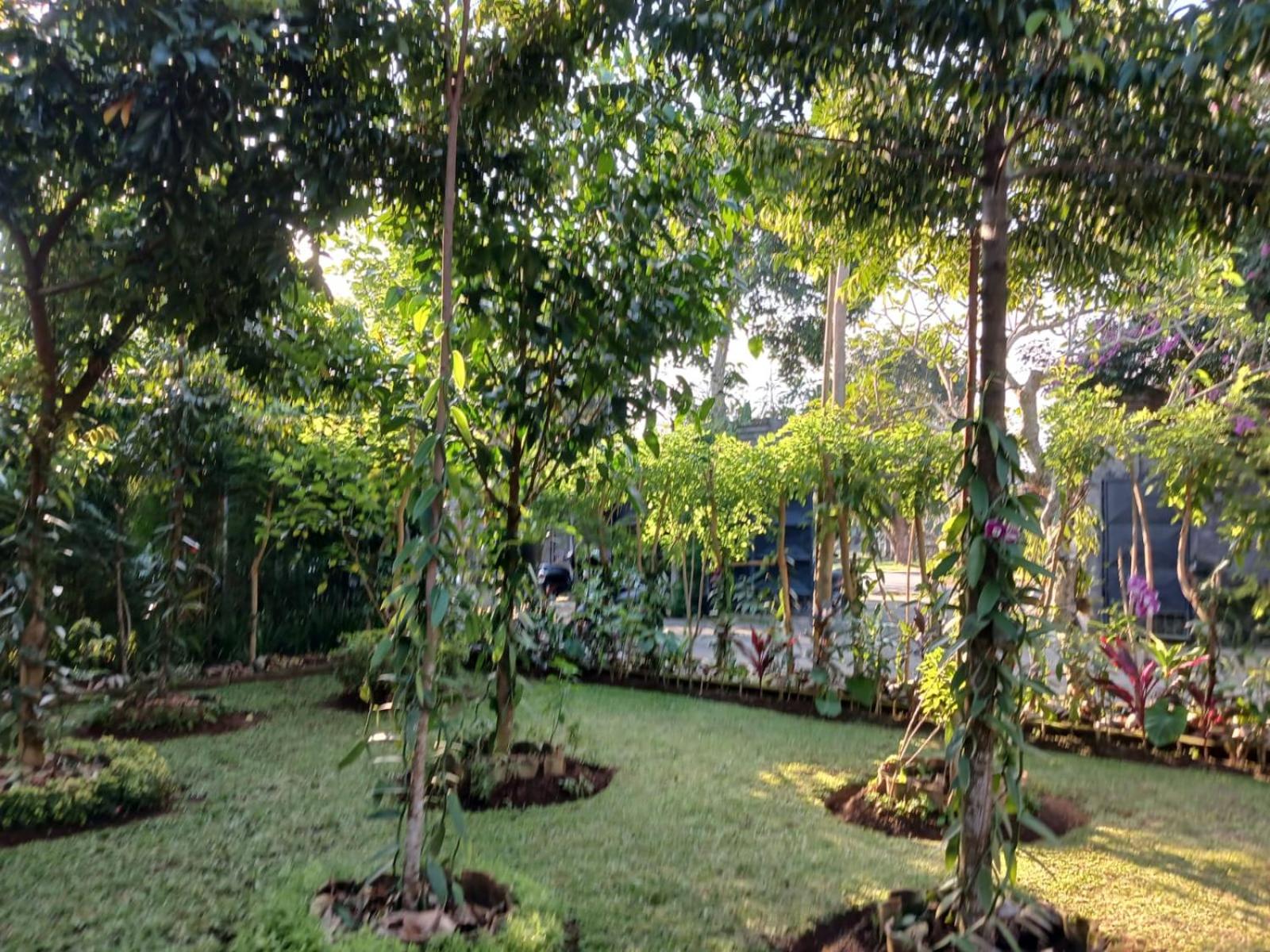 Photo 21